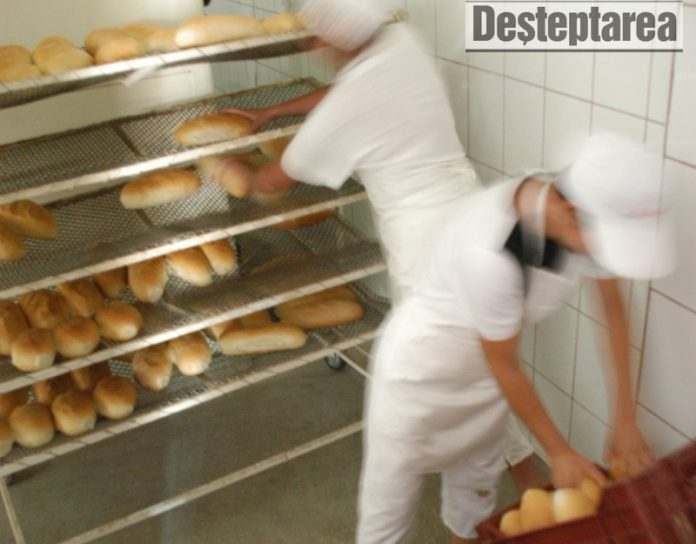 evaziune panificatie