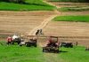 Construcțiile ridicate ilegal pe terenuri agricole ar putea fi legalizate, dar cu o taxă de cinci ori mai mare