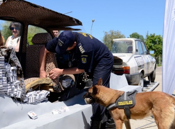 campanie contrabanda