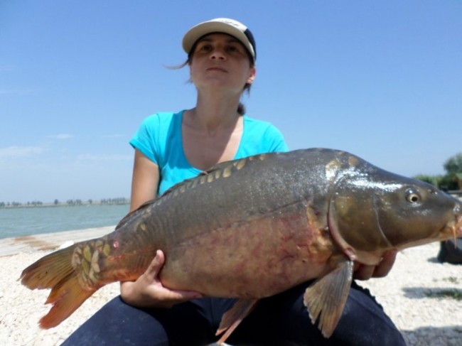 Isabela cu cea mai mare captura