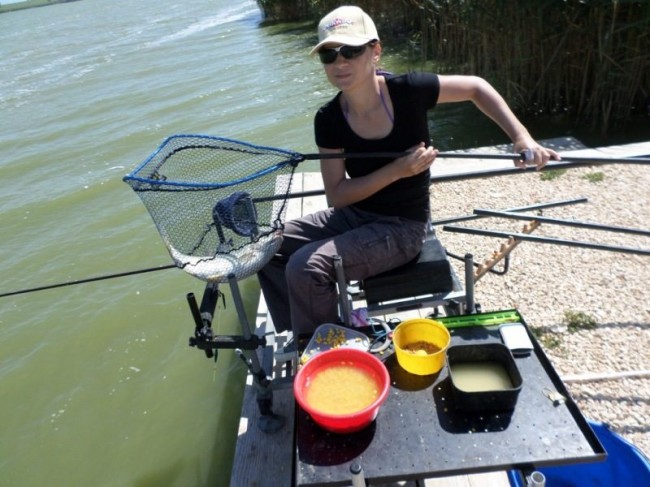 Isabela in mansa a doua