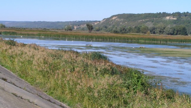 Lacul Itesti, colmatat
