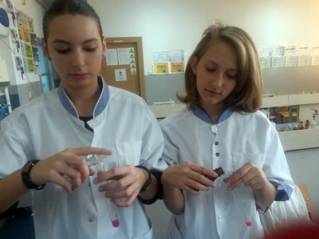 Echipa de la „Vranceanu” in laboratorul de chimie