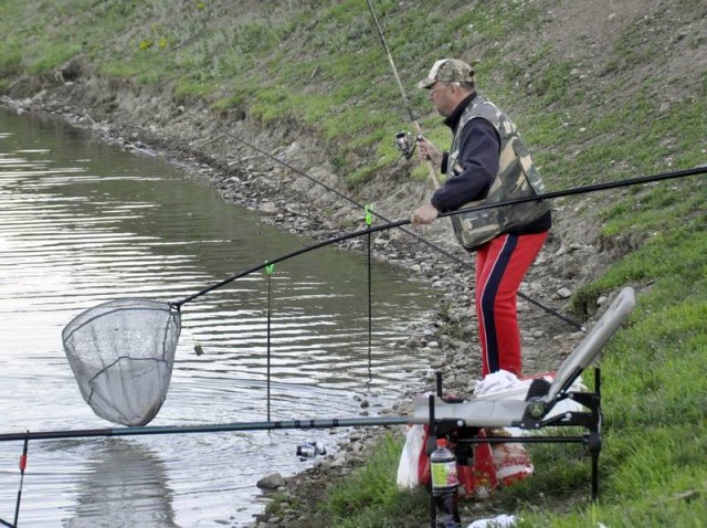 Mondo Cristi Ilie,  monturi de finete