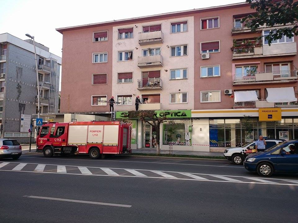 11938254_10207703454442359_482624266_n