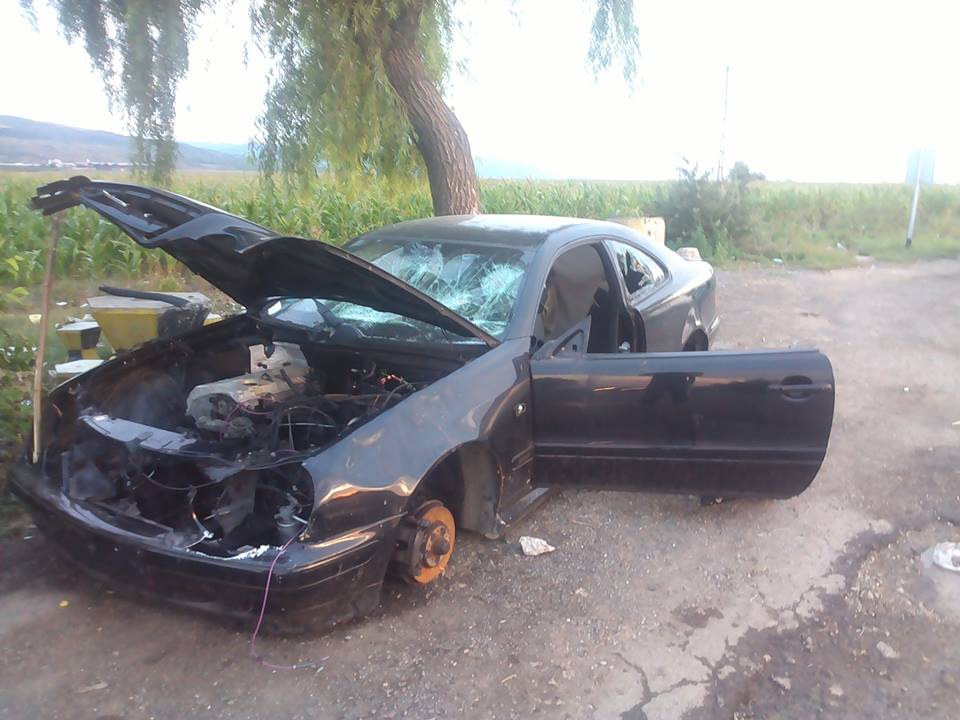 11949437_900631923305267_8795859982319979964_n