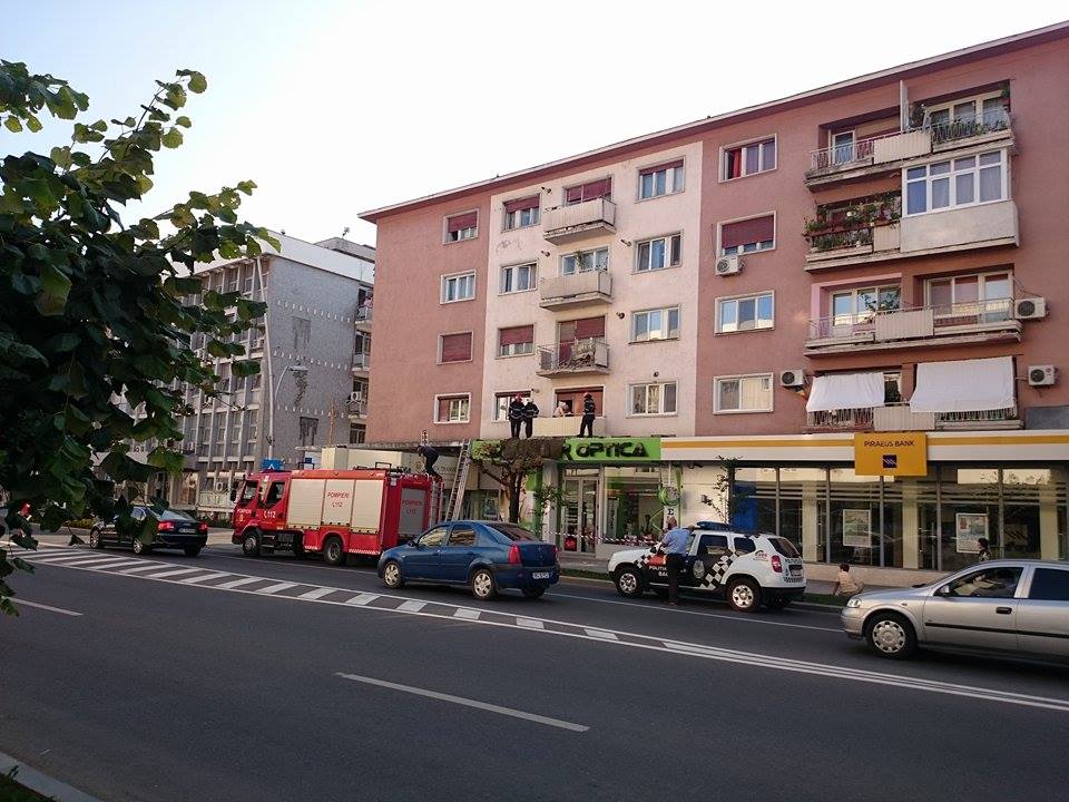 11950836_10207703434121851_360683595_n