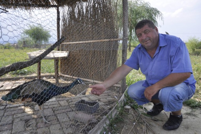 2. Constantin Enache