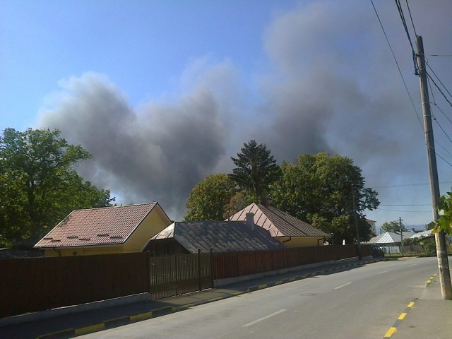 12011178_1129451303750267_2116770916942964916_n