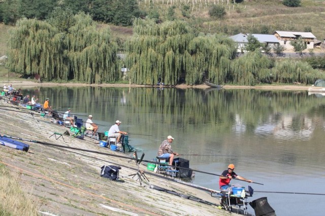 Consursuri intrenationale la Horgesti