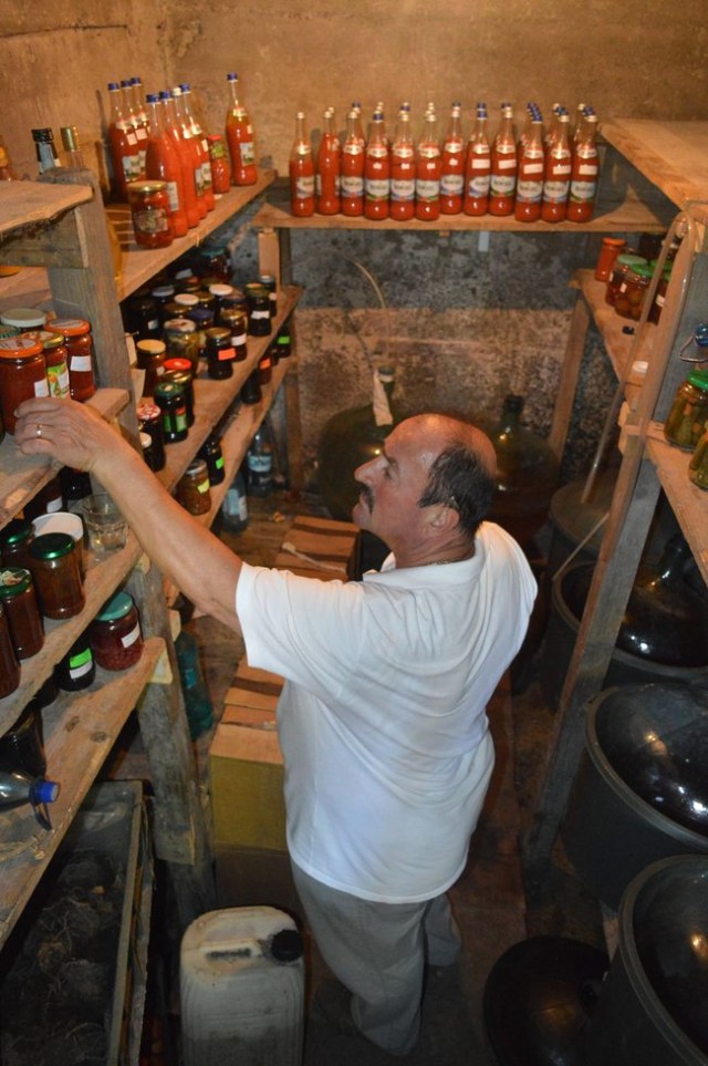 rosii uriase Ochenatu (3)