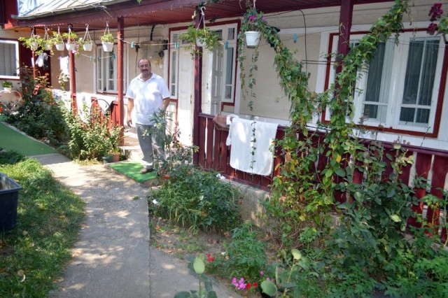 rosii uriase Ochenatu (4)