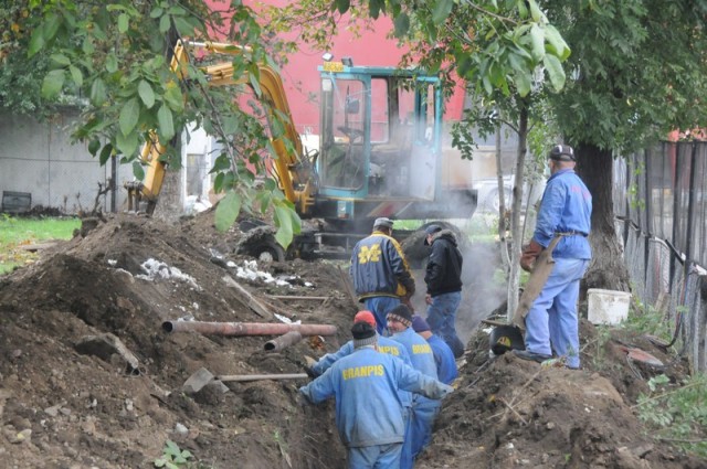 frig gradinite lucrare