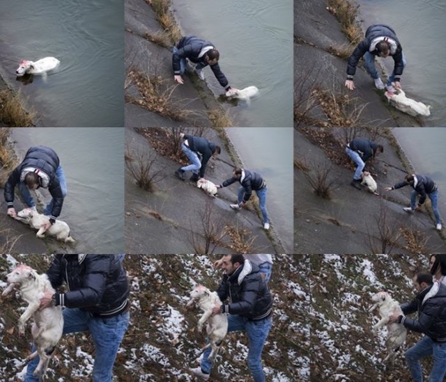 12345433_646831638792833_2090366692363547575_n