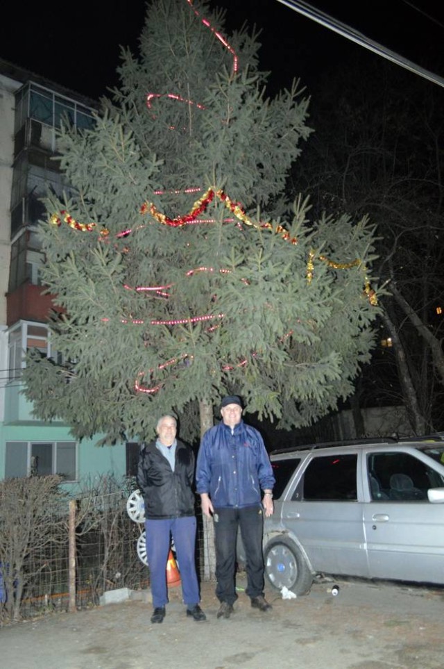 pom de craciun in cartierul uitat1