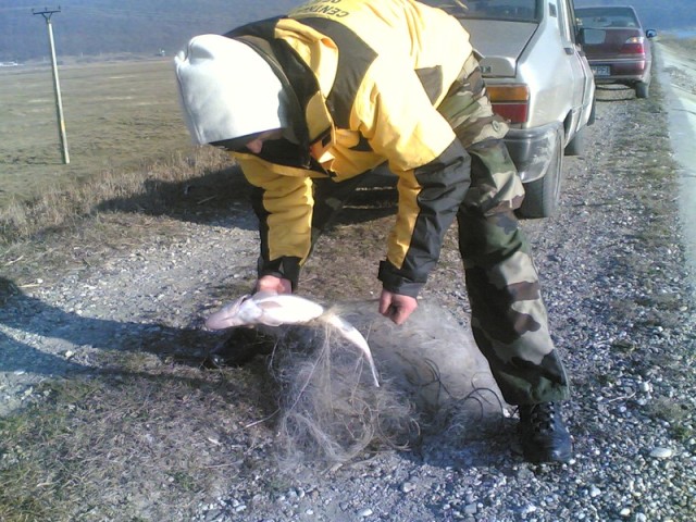 BUNA braconaj si poluare