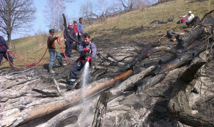 incendiu padure agas (1)