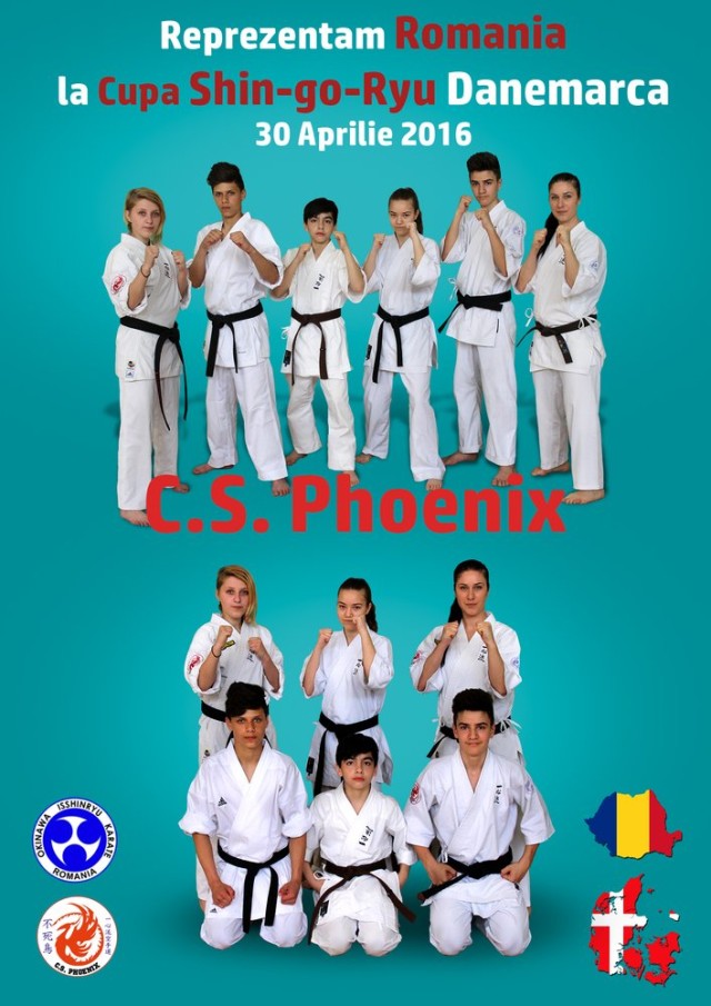karate danemarca