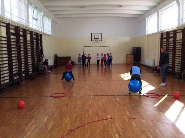 proiect Scoala Voicu SITE (2)