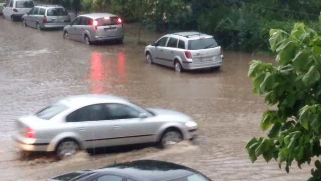 13509426_1202065089828363_1987706826_o