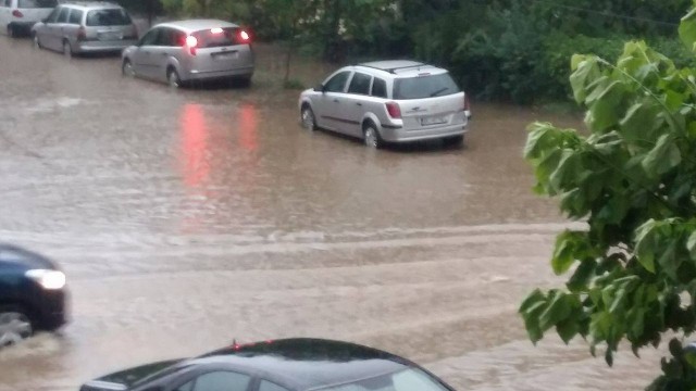 13509460_1202065073161698_1444224496_o