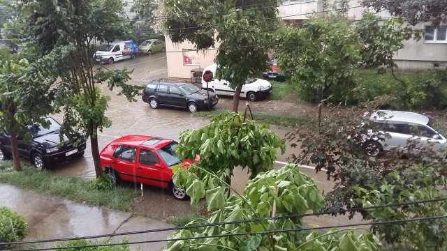 13517769_1202065116495027_1089784047_o