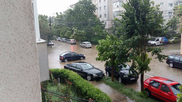 13524065_1202065106495028_1953661019_o