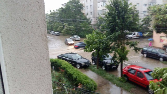 13524079_1202065226495016_335486506_o