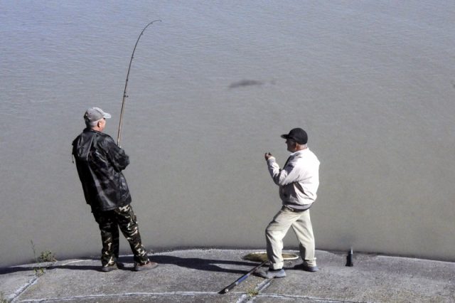 Gheorghe Ianau. al doilea sfetnic (1)