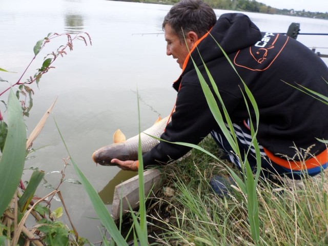 eliberarea pestelui prins