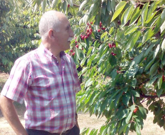 probleme livezi ploi Teodorescu