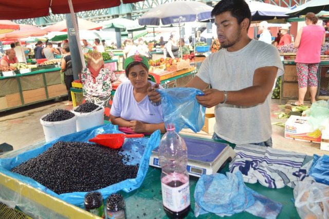 fructe de padure piata (3)