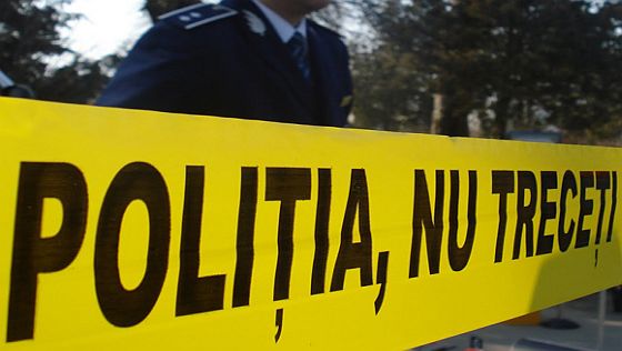 Poliția în acțiune Poliția în acțiune