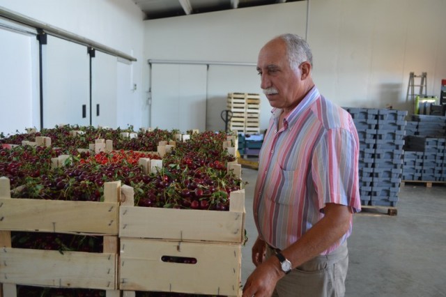 visine Itesti Pavel Teodorescu1