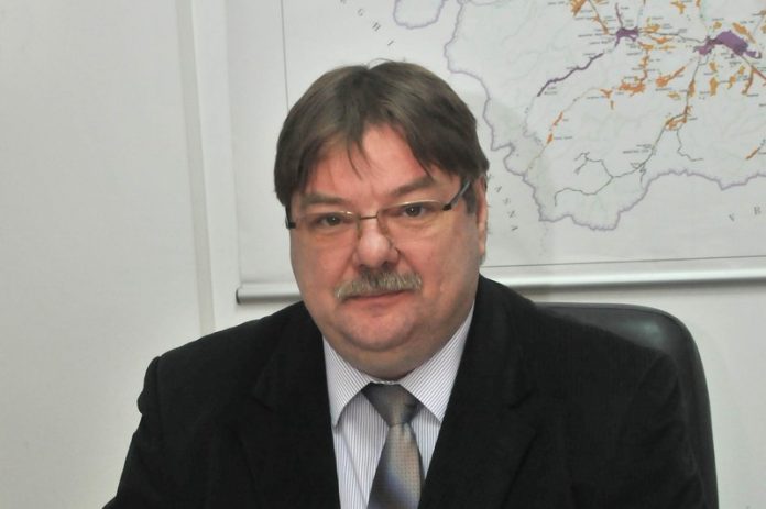 dosar-de-sanatate-dan-stoica