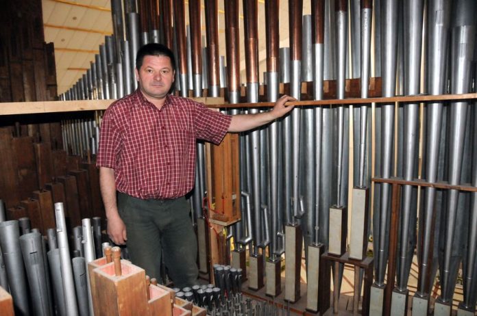 02 padurea de fluiere la Bacau (2)