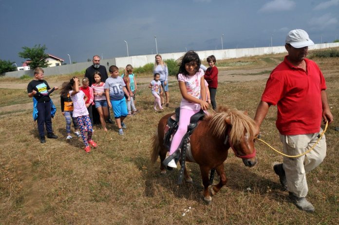 Poneii, atracţia principală a şcolii de vară de la Ferma copiilor 