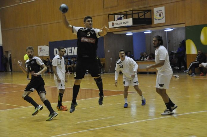 handbal masc bc alexandria