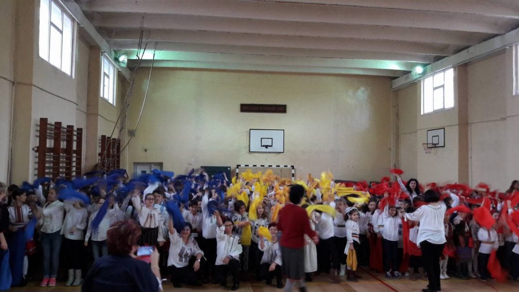 24201257_1651995311532328_1437629299_o