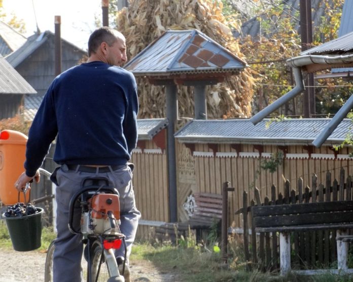 Cu drujba în Italia