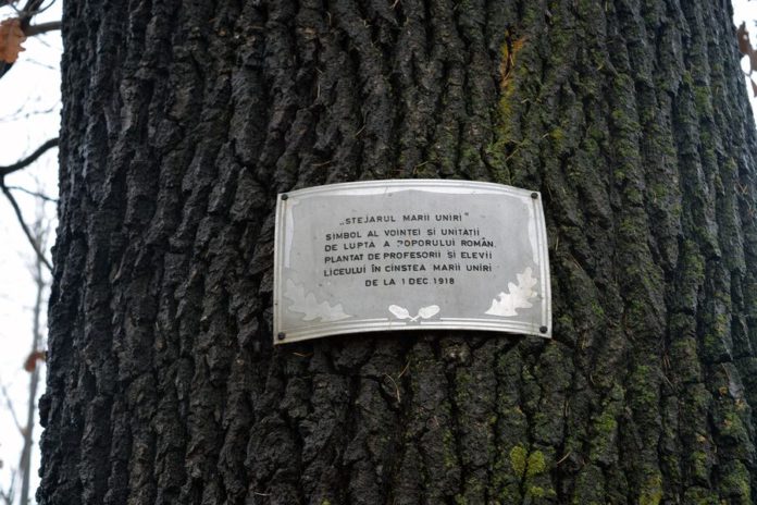 Stejarii Marii Uniri