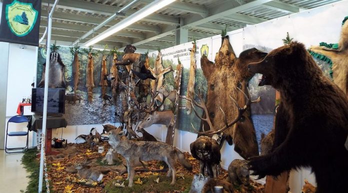 Se deschide Expo Vânătoare și Pescuit 2017, în Bacău