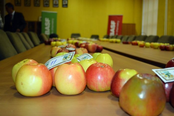 Simpozion ecologic internațional