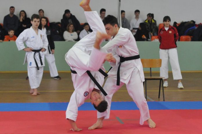 karate tradiotional initio