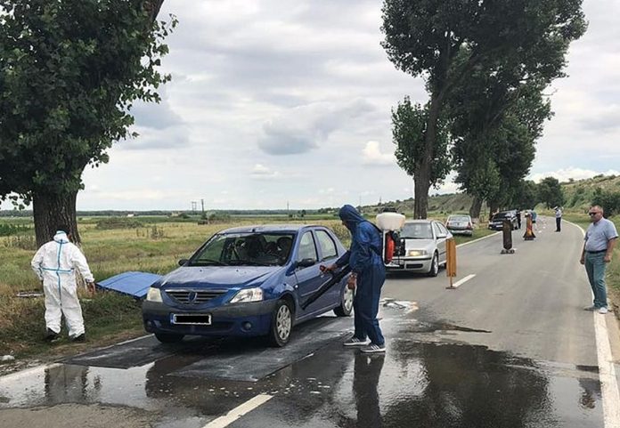 pesta porcina africana (3)