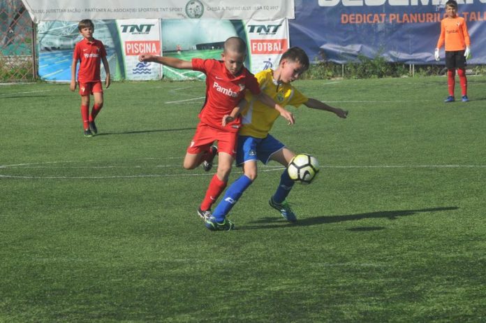 fotbal sistem juniori