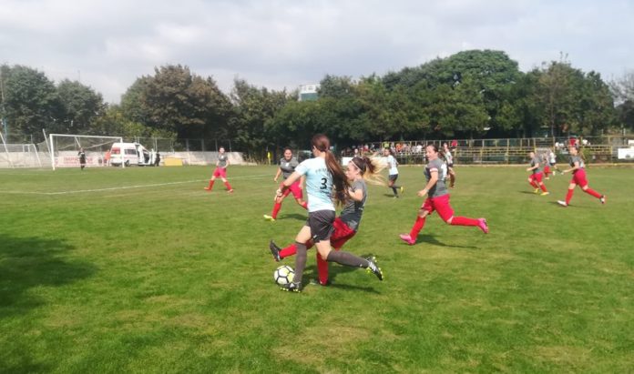 pisici debut constanta