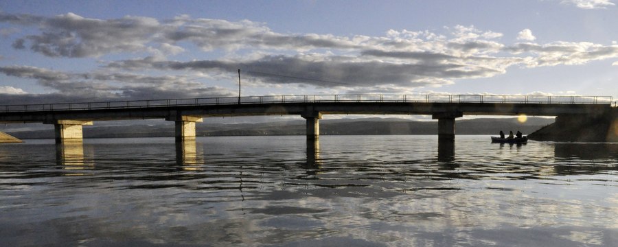 tratament comun în poduri)