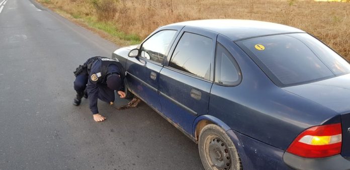 WhatsApp Image 2018-10-26 at 10.24.06