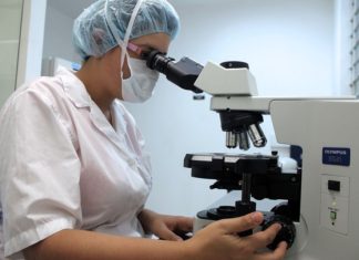 DSVSA Bacău avertizează asupra riscului toxiinfecțiilor alimentare în perioada caniculei. Recomandări pentru populație